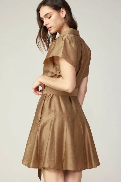 Belted Godet Mini Dress