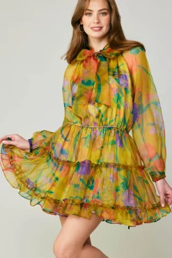 Floral Organza Mini Dress