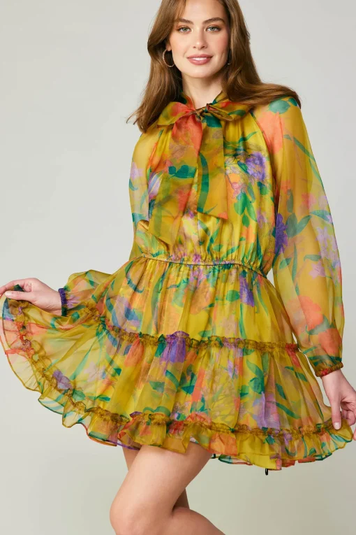 Floral Organza Mini Dress