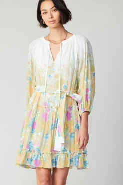 Gradient Floral Motif Mini Dress