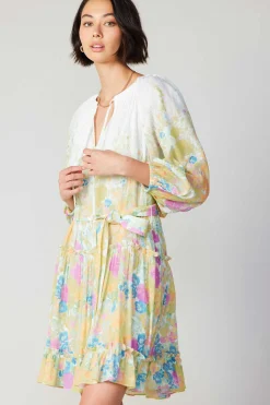 Gradient Floral Motif Mini Dress