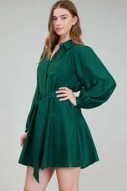 Lustrous Belted Mini Dress