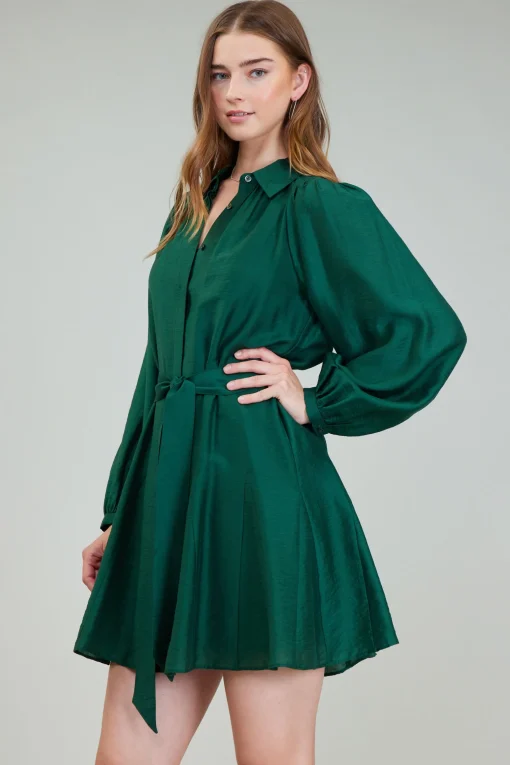 Lustrous Belted Mini Dress