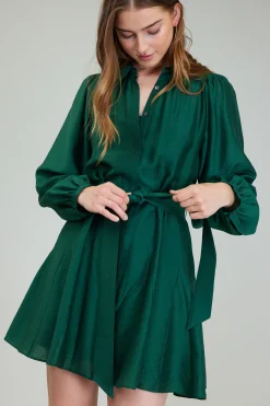 Lustrous Belted Mini Dress