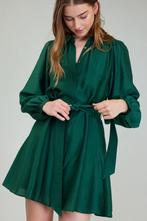 Lustrous Belted Mini Dress