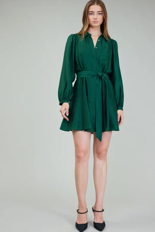 Lustrous Belted Mini Dress