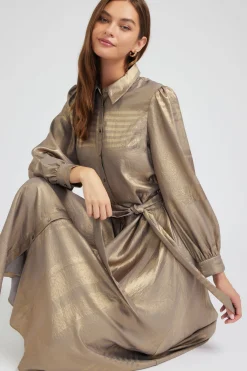 Metallic Buttondown Dress