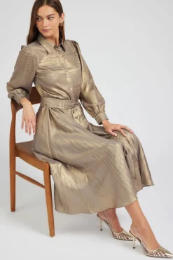 Metallic Buttondown Dress