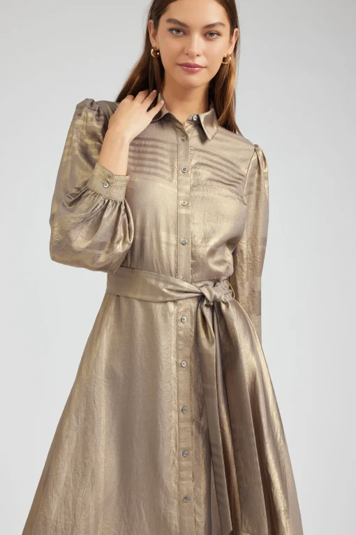 Metallic Buttondown Dress