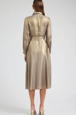 Metallic Buttondown Dress