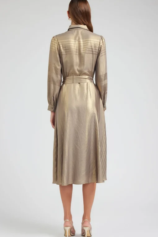 Metallic Buttondown Dress