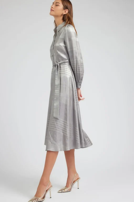 Metallic Buttondown Dress
