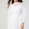 Palermo Lace Collared Mini Dress