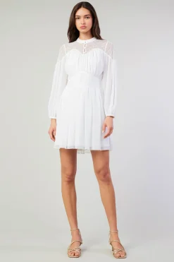 Palermo Lace Collared Mini Dress