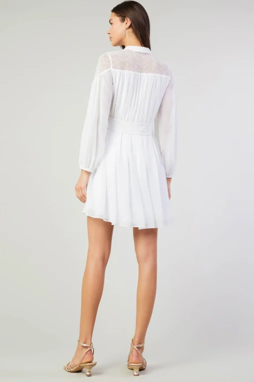 Palermo Lace Collared Mini Dress