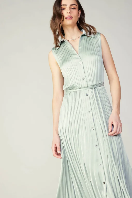 Plisse Buttondown Dress