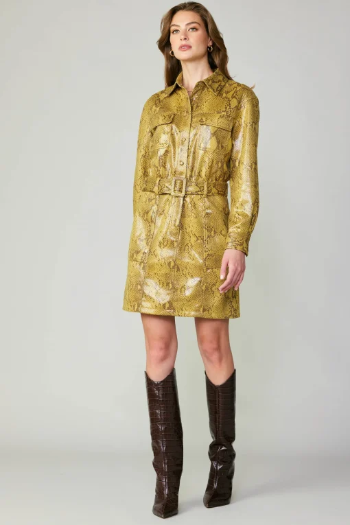 Snakeskin Shirt Dress
