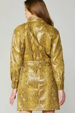 Snakeskin Shirt Dress