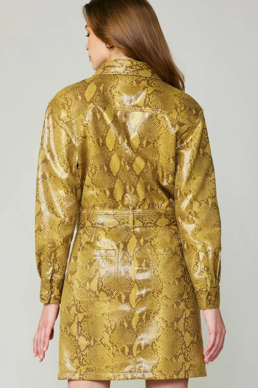 Snakeskin Shirt Dress